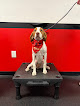 Pet boarding services Sit Means Sit Dog Training - New Jersey in Bordentown in Burlington
