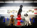 Pet boarding services Sit Means Sit Dog Training Southern Maine in Windham in Maine