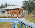 Pet boarding services Skyblue Kennels in Austin in Travis