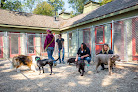 Pet boarding services Skydance Pet Lodge in Dousman in Wisconsin