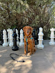 Pet boarding services Skye's Dog Training in West Jordan in UT