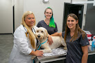 Pet boarding services Skyline Animal Hospital in Tulsa in Oklahoma