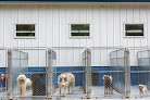 Pet boarding services Slate Run Kennels in Ashville in Pickaway