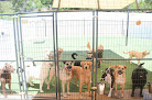 Pet boarding services Sled & Breakfast Dog Daycare, Boarding, Training, & Grooming in Fenton in Jefferson