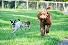 Pet boarding services Slobbering Sweeties Bed & Biscuit in Tickfaw in Louisiana