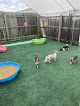 Pet boarding services Small Paws Relax Inn in Edgewater in Florida