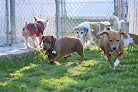 Pet boarding services Smith Farms Boarding Kennels in Conyers in GA