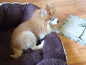 Pet boarding services Smith Kennels in Palmdale in California
