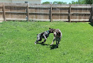Pet boarding services Smoky Valley Dog Center in Lindsborg in Kansas