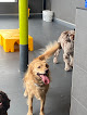 Pet boarding services Sniff Dog Hotel Beaverton in Beaverton in OR