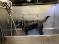 Pet boarding services Sniff Dog Hotel in Portland in OR