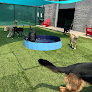 Pet boarding services Sniffers Doggie Retreat & Training Center in Rockville in Maryland
