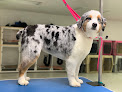 Pet boarding services Something To Wag About, Inc. in Ellsworth in Maine
