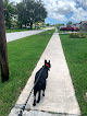 Pet boarding services South Florida Pet Sitter in Plantation in FL