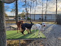Pet boarding services Southern Hound Club in Valdosta in Lowndes