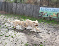 Pet boarding services Southern Oasis Bed & Bark Pet Resort in Waldorf in Maryland