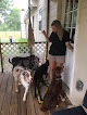 Pet boarding services Southern Paw's Boarding & Daycare in Macon in GA
