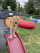 Pet boarding services Southern Paws Stay & Play in Monroe in Union