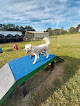 Pet boarding services Southern Pet Nanny in Hope in Arkansas