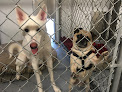 Pet boarding services Southpaw Dog Boarding In Ak in Anchorage in Alaska