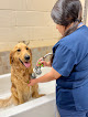 Pet boarding services Southwest Animal Hospital in Summit in Pike