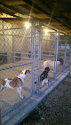 Pet boarding services Special O.p.s. K-9 Academy Inc. in North Webster in Indiana