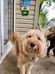 Pet boarding services Specialized Pet Services in Omaha in Nebraska
