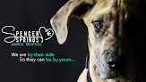 Pet boarding services Spencer Springs Animal Hospital in Las Vegas in Nevada