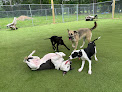 Pet boarding services Spoiled Rotten Pet Hotel, Llc in Shreveport in Louisiana