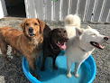 Pet boarding services St. Simons Puppy Paradise in St Simons Island in Glynn