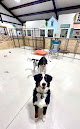 Pet boarding services Stage Coach Pet Resort in Gravette in Arkansas