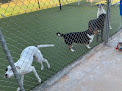 Pet boarding services Stay & Play Pet Resort in Stillwater in OK