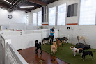 Pet boarding services Stay. Dog Daycare, & Boarding in Cleveland in OH