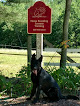 Pet boarding services Steel Magnolia Farm in Chichester in New Hampshire