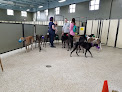 Pet boarding services Stone Mountain Pet Lodge - Xenia in Brooklyn Park in MN
