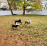 Pet boarding services Stonehill Kennel & Farm in Enola in Pennsylvania