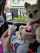 Pet boarding services Stoney Run Kennels in Hebron in Indiana