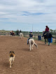 Pet boarding services Storm Creek Horse Co. Farm & Rescue in Pretty Prairie in Kansas