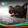 Pet boarding services Style And Fashion Pets in Bayamón in Bayamón
