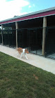 Pet boarding services Sugar Creek Canine Ranch in Fountaintown in IN