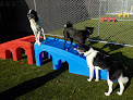 Pet boarding services Suite Paws Pet Resort & Spa in Milford in OH