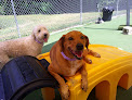 Pet boarding services Suite Paws Pet Resort & Spa in Raleigh in North Carolina