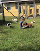 Pet boarding services Sunland Acres in Jacksonville in FL