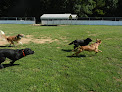 Pet boarding services Sunny Acres Pet Resort in Durham in North Carolina