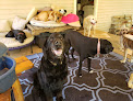 Pet boarding services Sunny Acres Pet Retreat in Columbia in Maury