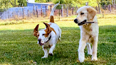 Pet boarding services Sunny Meadows Pet Resort in Junction City in KS
