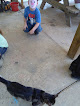 Pet boarding services Sunny Slope Stables in Walker in Louisiana