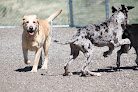 Pet boarding services Sunrise Pet Lodge in Casper in Wyoming