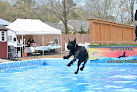 Pet boarding services Sunshine Dog Park in Bridgeton in NJ