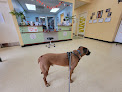 Pet boarding services Swan Harbor Animal Hospital in Baltimore in Maryland